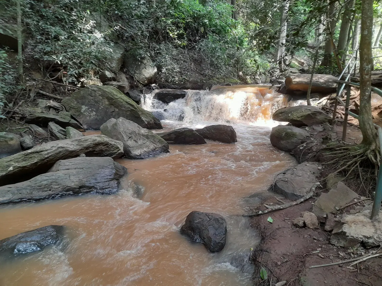Rapids on the river in Karura Forest