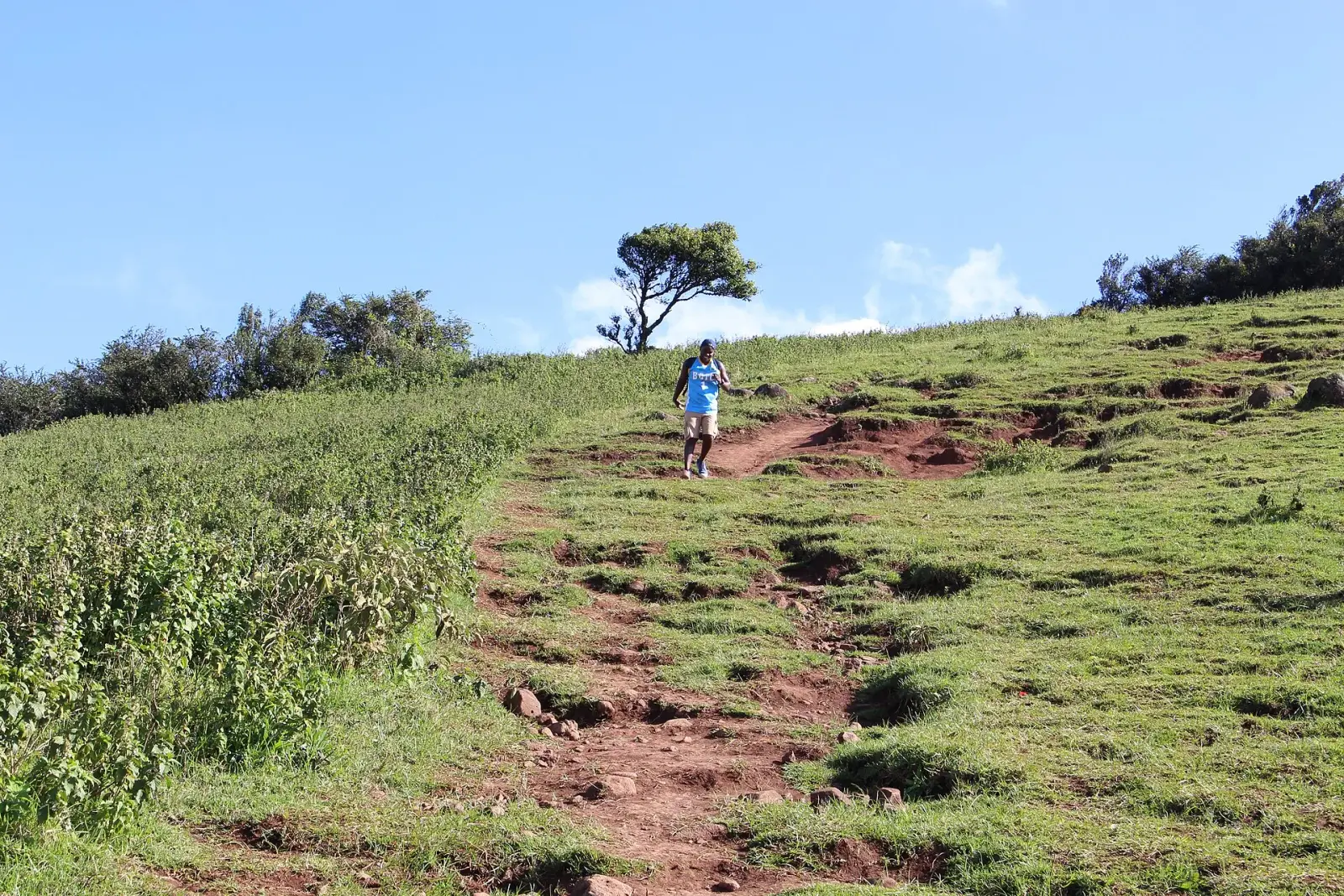 A hiker on the grassy ridge of the Ngong Hills